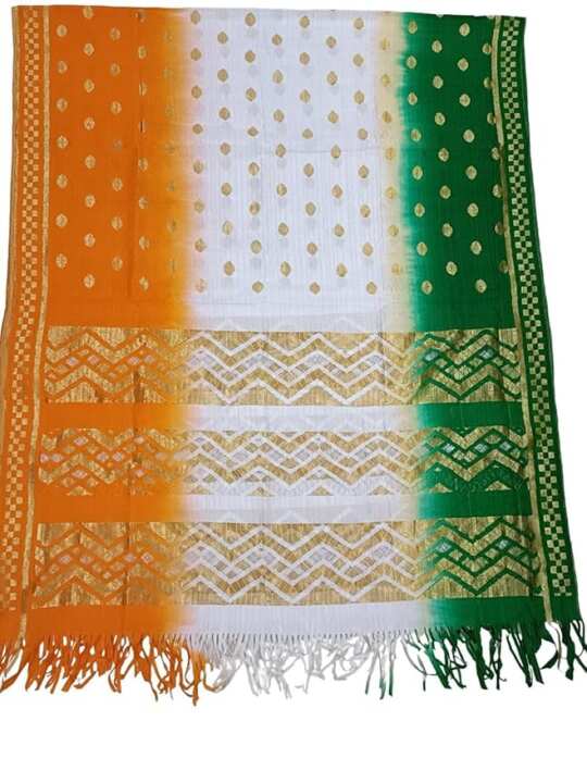 Tiranga Net Dupatta – Tricolor Design - View 4