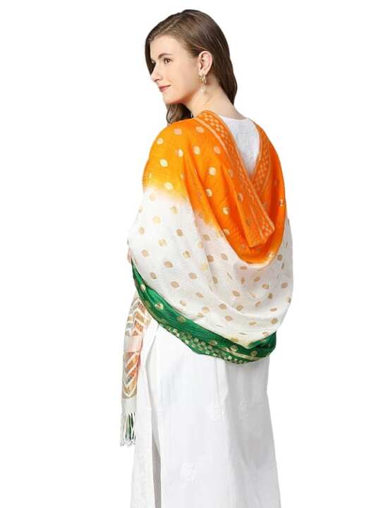 Tiranga Net Dupatta – Tricolor Design - View 2