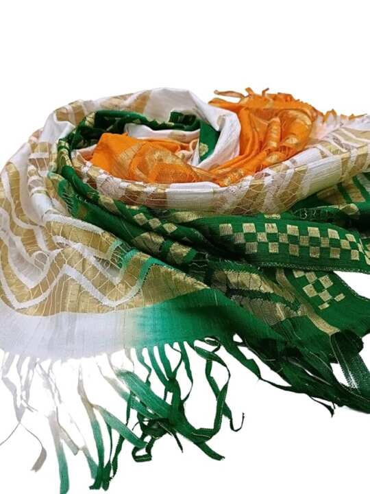 Tiranga Net Dupatta – Tricolor Design - View 5